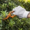 Estas son las plantas que hay que podar en mayo si quieres tener un jardín exuberante