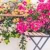 Carrefour tiene el toldo vela ideal para patios, terrazas y jardines: se instala sin taladros y lleva luces led
