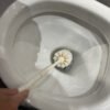 El truco viral con pastillas que elimina el sarro del inodoro