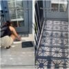 La solución de Ikea para transformar tu terraza sin obras: el cambio es radical y es ideal para pisos de alquiler