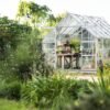 La planta todoterreno que es resistente, crece incluso en la grava y florece todo el verano sin riego