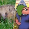 Llevamos 50 años pensando que los lemmings son roedores que se suicidan en masa. La culpa de todo la tiene Disney