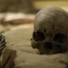 Estos 21 restos humanos encontrados en Colombia tienen un problema: su ADN no se parece a nada que conozcamos