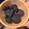 Japón cree tener el mayor depósito de tierras raras de mundo escondido en una isla diminuta. Y ya tiene fecha para extraerlas