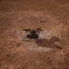 EEUU quiere renunciar a traer las muestras más valiosas recogidas en Marte. Lockheed promete hacerlo por menos de la mitad