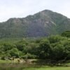 Pese a la sequía y el cambio climático, Andalucía es hoy más verde que en los 90. No es tan positivo como parece