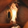 Una de las más polémicas cintas de body-horror se ha estrenado con tropiezos: un director indie acusa plagio (cuadro a cuadro) de la laureada película en Sundance