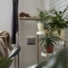 Acaba de llegar a Aldi la planta con flor que dará color a tu casa o a la terraza por menos de 2 euros