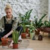 Estas son las cuatro plantas de interior con más resistencia y belleza (y duran todo el año)