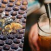 La última idea extrema en la fermentación de cerveza no tiene que ver con el alcohol. Tiene que ver con abejas asesinas