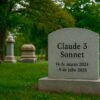 Cientos de personas asistieron a un funeral. Todo normal excepto porque el difunto era un modelo IA que había sido  retirado