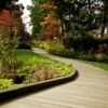 Te enseñamos tres plantas de hoja perenne para mantener el verde en tu terraza de cara al otoño: cómo cuidarlas y dónde colocarlas