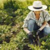 Plantas que debes podar en octubre antes de que sea demasiado tarde y cómo hacerlo